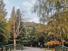 -上海佘山国家森林公园天马山园