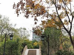 -杭州城北体育公园