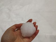 -Mr·Kuma酷么先生雪之乐园