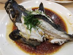 清蒸石斑鱼-覃记海鲜美食餐厅