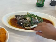 清蒸石斑鱼-众味海鲜大排档·活海鲜·潮汕味(南澳店)