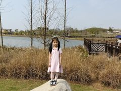 -九龙湖公园