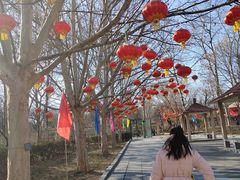 -丰台花园