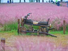 -汉长安城未央宫国家考古遗址公园