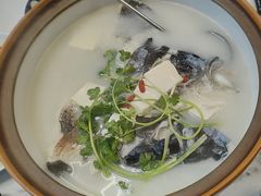 -宝荣鱼馆·临湖之宴(千岛湖店)