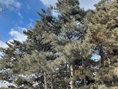 -长春市南湖公园