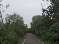 -白鹭湾湿地公园