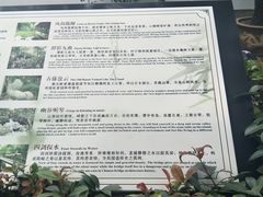 -绮园景区
