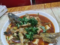 -煲来饱去冷水鱼