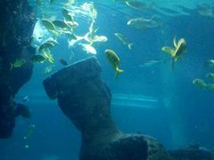 -石家庄海洋公园