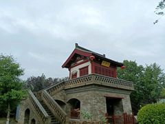 -大槐树寻根祭祖园