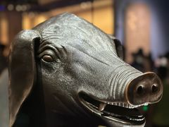-广西壮族自治区博物馆