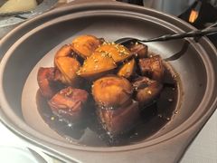 -悦江(梅奔中心店)