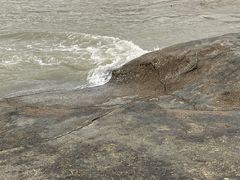 -海沧湾公园