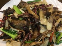 炒山珍-88号小吃店·经典云南菜·地道纳西美食