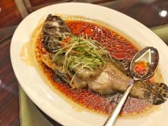 -索菲特酒店 · 云尚天际自助餐厅