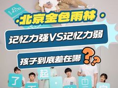 -金色雨林感统训练·专注力·语言认知·心理沙盘(天通苑校区)