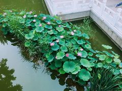 -丰台科技园生态主题公园