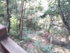-石燕湖生态旅游景区