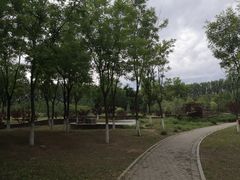 -东郊湿地公园