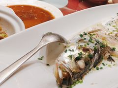 -沪碟·精菜坊(闵行店)