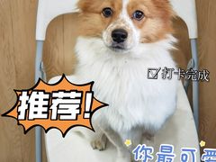 -谐和益家动物医院·免疫绝育·血液透析·宠保定点医院(高新伊藤分院)