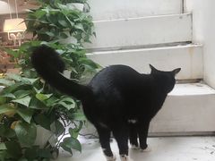 -小时光咖啡馆(北锣鼓巷店)