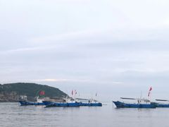 -枸杞岛