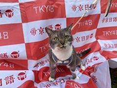 -帝京日语(春熙路旗舰校区)