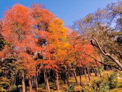 -人民公园(罗湖区)