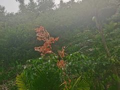 -清泉湾生态旅游度假区