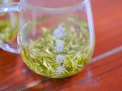 -帐篷客·溪龙茶谷度假酒店