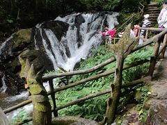 -莫里热带雨林景区