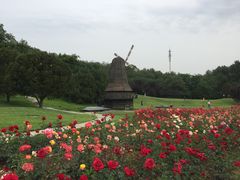 -北京宽沟会议中心