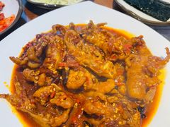 -红辣椒八爪鱼特色韩国料理