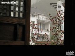 -知鱼轩