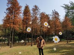 -晓港公园