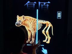 -大庆市博物馆