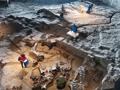 -自贡恐龙博物馆