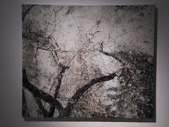 -上海宝龙美术馆