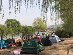-丁香湖公园