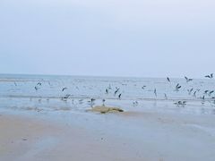 -老虎石海上公园