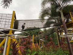 -美的鹭湖探索王国