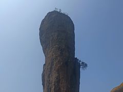 -磬锤峰森林公园