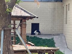 -石家庄市动物园