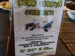 -马达京岛