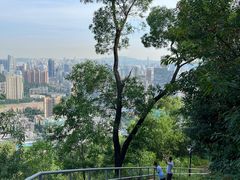 -板樟山森林公园