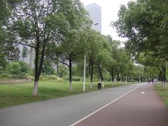 -瑶湖郊野森林公园