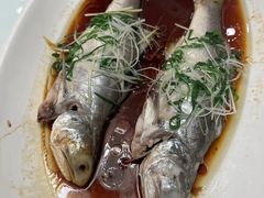 -潮人姐妹轩(海宁路店)