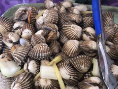 宁蛤白灼-威海渔村(静安旗舰店)